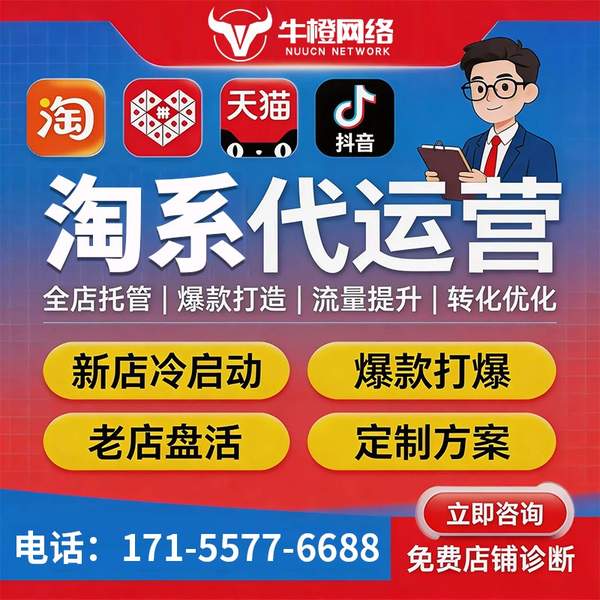 武安电商代运营