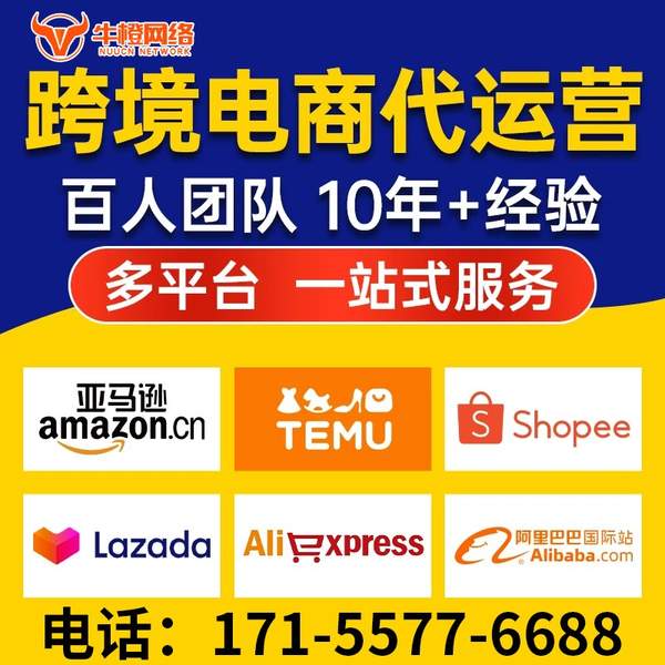 武安电商代运营