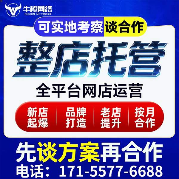 武安电商代运营