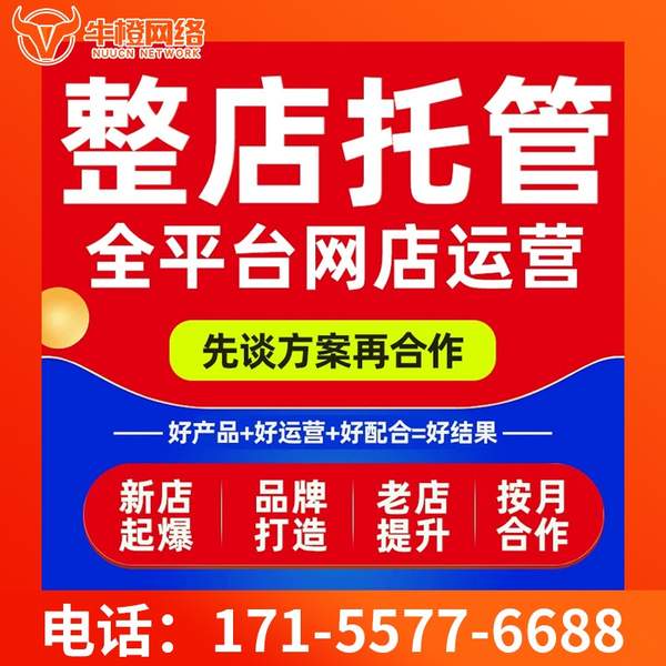 武安电商代运营