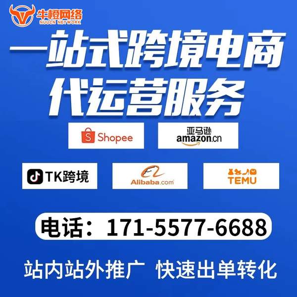 武安电商代运营