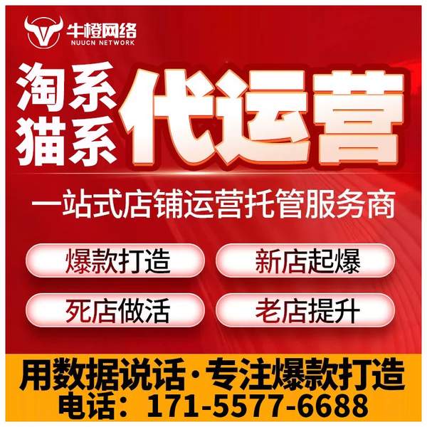 武安电商代运营